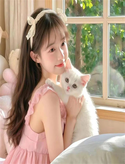 精彩绝伦的正直的候选人2讲了什么故事？完整剧情详细介绍